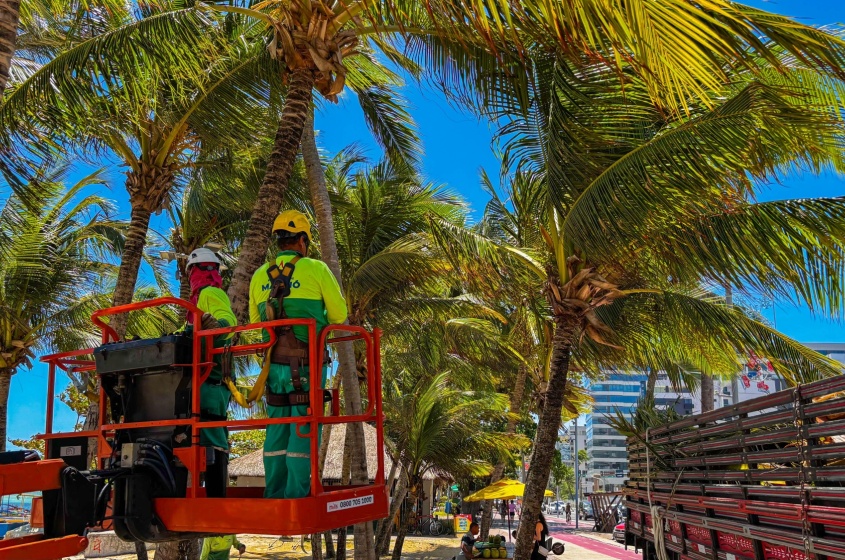 Foto: Alexandre Vieira/Ascom Alurb