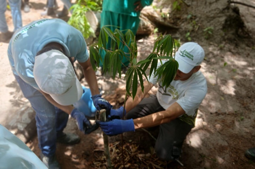 Foto: Tháchyna Lorena(estagiária)/Ascom Alurb