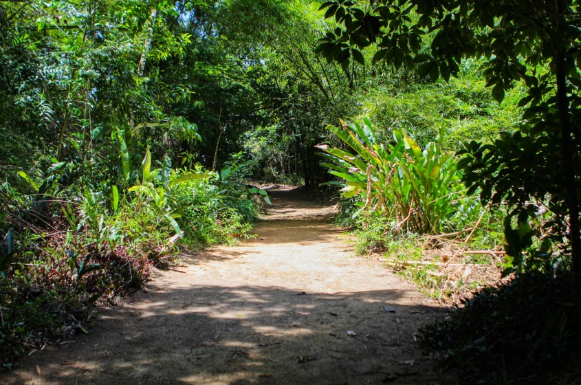 Foto: Alexandre Vieira/Ascom Alurb