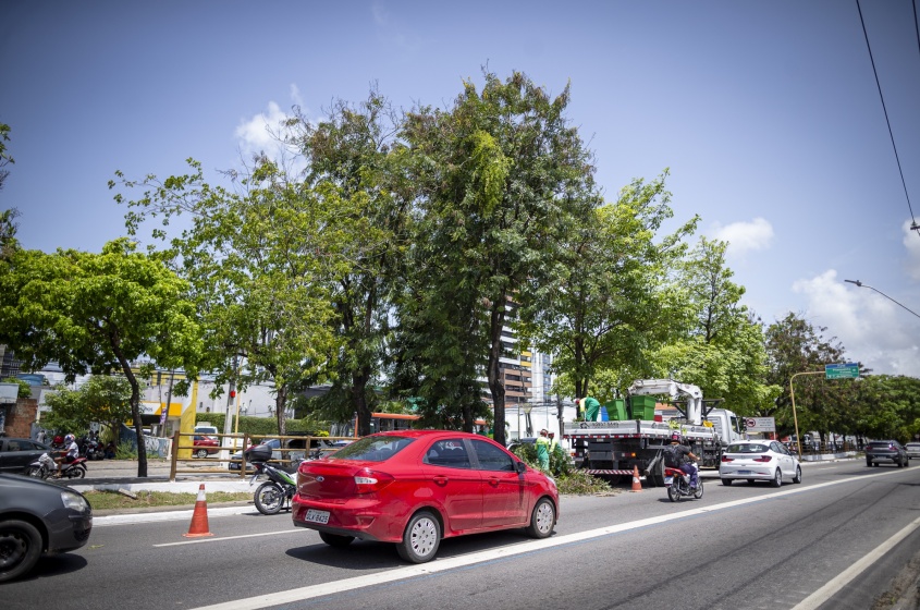 Alurb pode ser acionada pelo 156. Foto: Alisson Frazão/Secom Maceió
