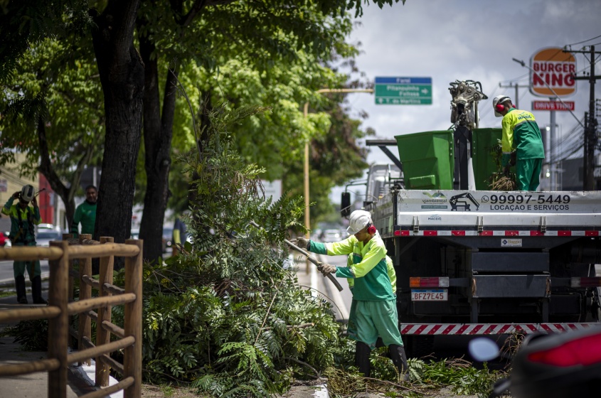 Poda de árvore na Fernandes Lima. Foto: Alisson Frazão/Secom Maceió