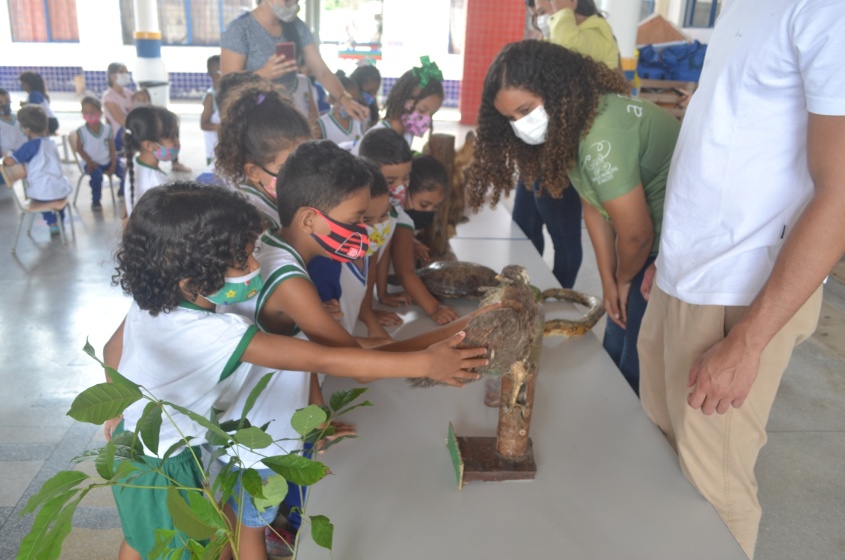 Crianças interagem e aprendem sobre a fauna e flora do parque. Foto: Ascom Sudes