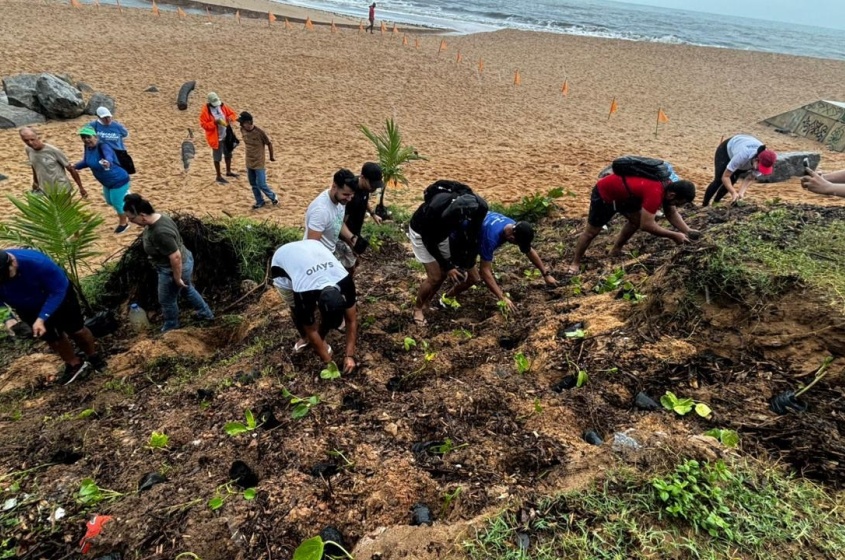 Plantio de vegetação de restinga. Foto: Alexandre Vieira/ Ascom Alurb