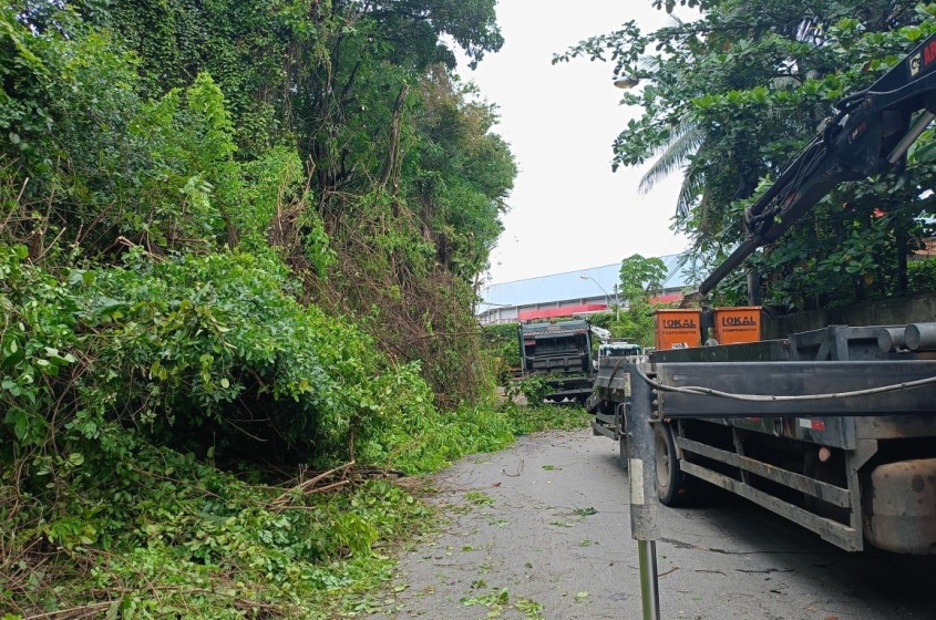 Mutirão cobriu área de 300m². Foto: Alexandre Vieira/Ascom Alurb