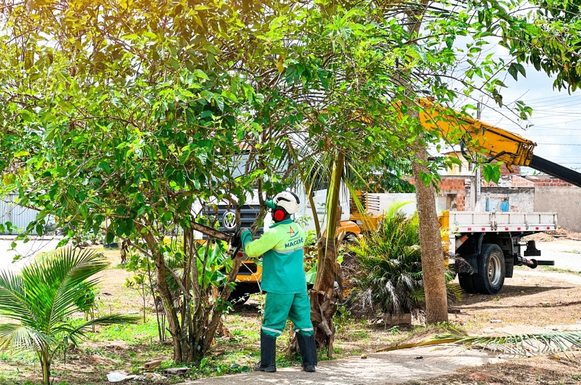 Equipe deve podar mais de 400 árvores. Foto: Cristalya Tavares/Ascom Alurb