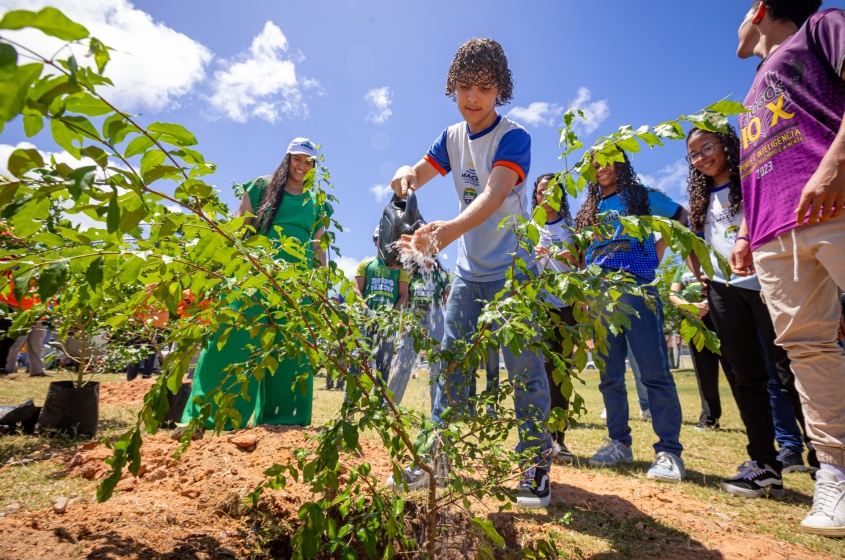 Em quase 5 anos, foram plantadas em Maceió 45 mil mudas de árvores. Foto: Arquivo Alurb