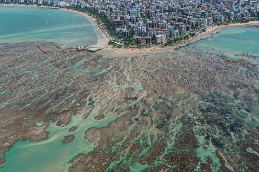 Imagens aéreas da Praia da Ponta Verde na maré zero. Foto: Itawi Albuquerque - Secom