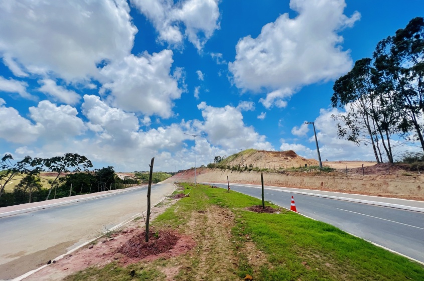Além de embelezar a cidade, a arborização melhora o ar, a temperatura, reduz a poluição e proporciona sombra. Foto: Crystalia Tavares/Ascom Alurb