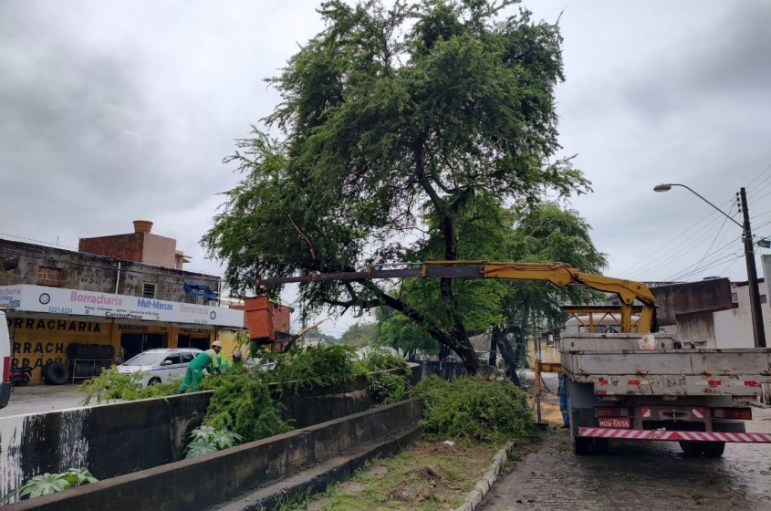 Visando prevenir acidentes, órgão retira galhos e árvores que tenham perigo de queda. Foto: Ascom Sudes