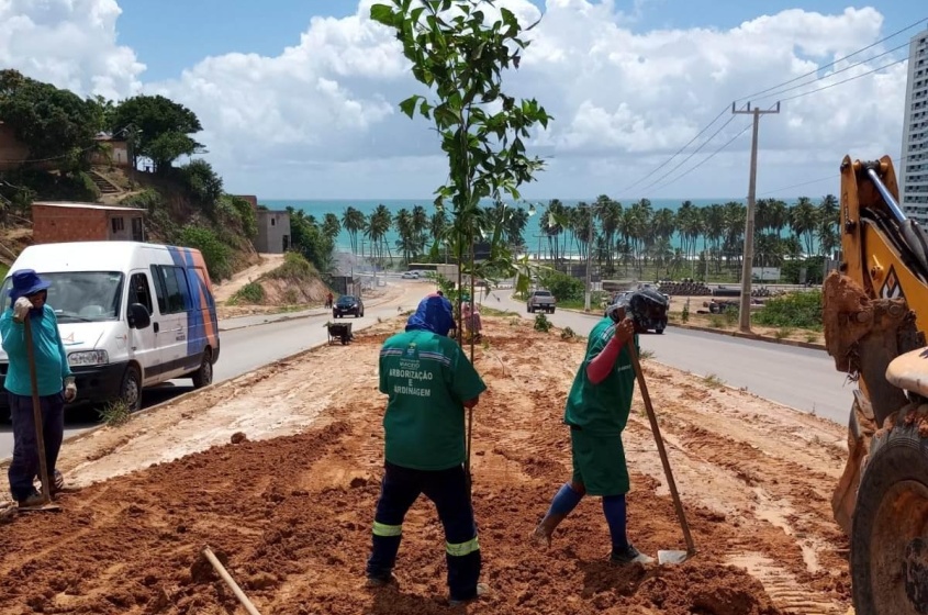 Servidores da Sudes realizam o plantio de palmeiras rabo-de-peixe na Rota do Mar. Foto: Ascom Sudes