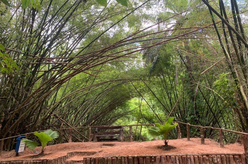 Serviços realizados visam preservar a segurança dos visitantes. Foto: Ascom Sudes