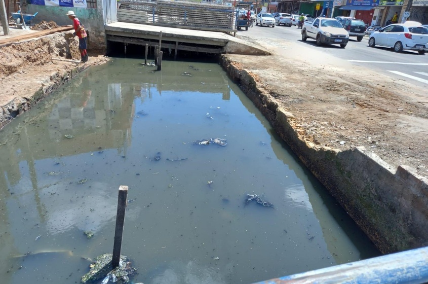 Depois da limpeza e retirada de mais de 15 toneladas de resíduos. Foto: Ascom Sudes