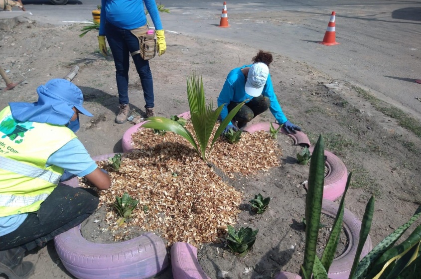 Jovens aprendizes trabalham no plantio de mudas de árvores. Foto: Ascom Sudes