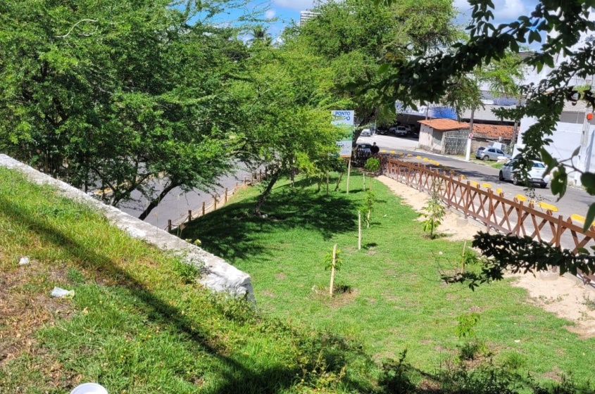 A Prefeitura aplicou 500m² de grama natural e construiu uma calçada. Foto: Ascom Sudes