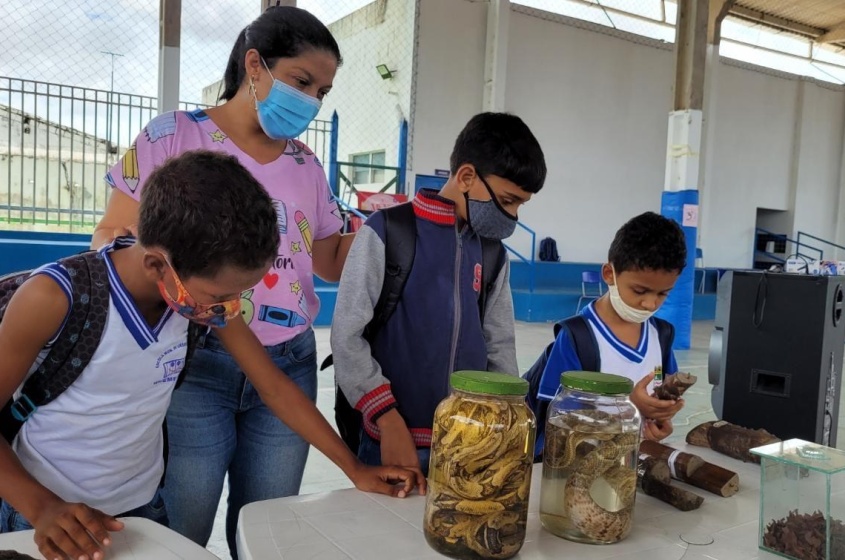 Animais taxidermizados do Museu do Parque foram expostos para os alunos. Foto: Ascom Sudes