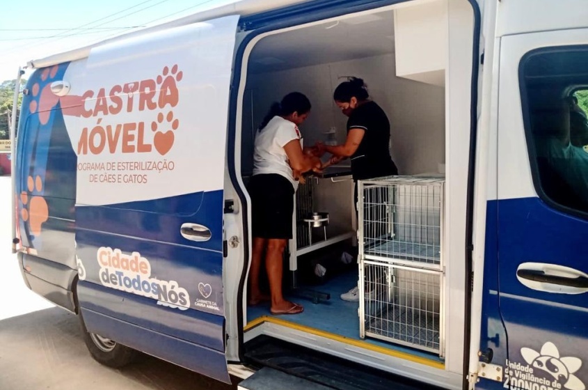 Após passar pela triagem animais aptos tem castração garantida. Foto: Ascom GGI Causa Animal