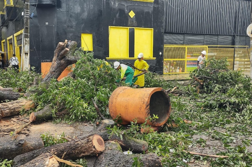 Agente da Sudes trabalham para liberar a via. Foto: Ascom Sudes