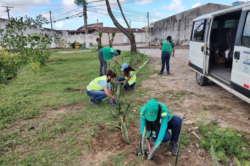 Mais de 30 mudas foram plantadas no local. Foto: Ascom Sudes