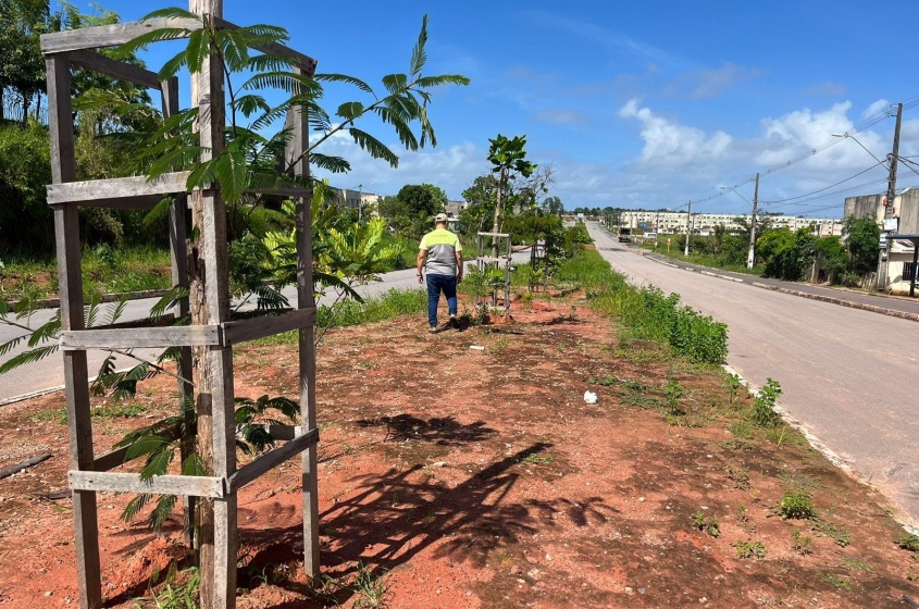 Arborização é Massa deixa Maceió mais verde. Foto: Ascom Alurb