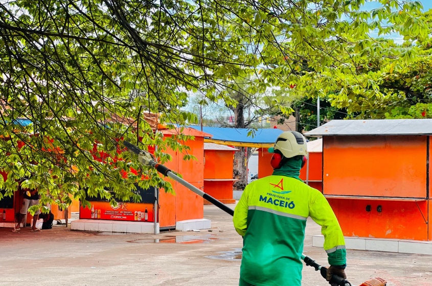 Além das podas, Alurb também faz a supressão preventiva de exemplares que ameaçam cair. Foto: Crystália Tavares/Ascom Alurb