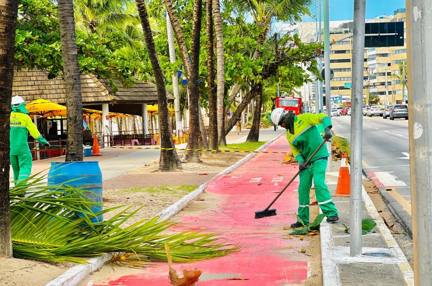 Área no entorno das palmeiras é isolada durante o serviço de poda. Foto: Crystália Tavares/Ascom Alurb
