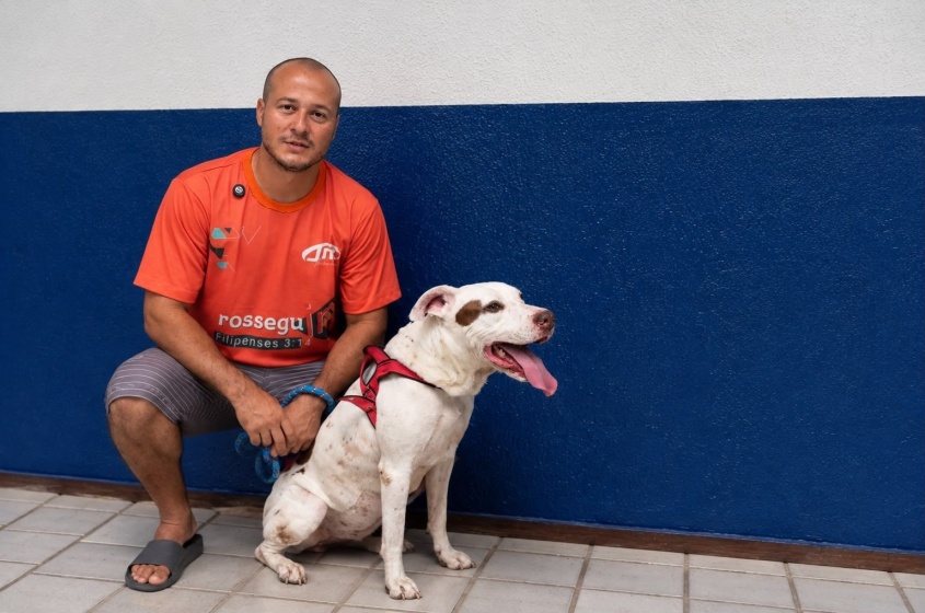 Zeus foi um dos primeiros pets atendidos pelo HC Pet em uma situação de urgência. Foto: Ascom Sebema Zeus foi um dos primeiros pets atendidos pelo HC Pet em uma situação de urgência. Foto: Ascom Sebema