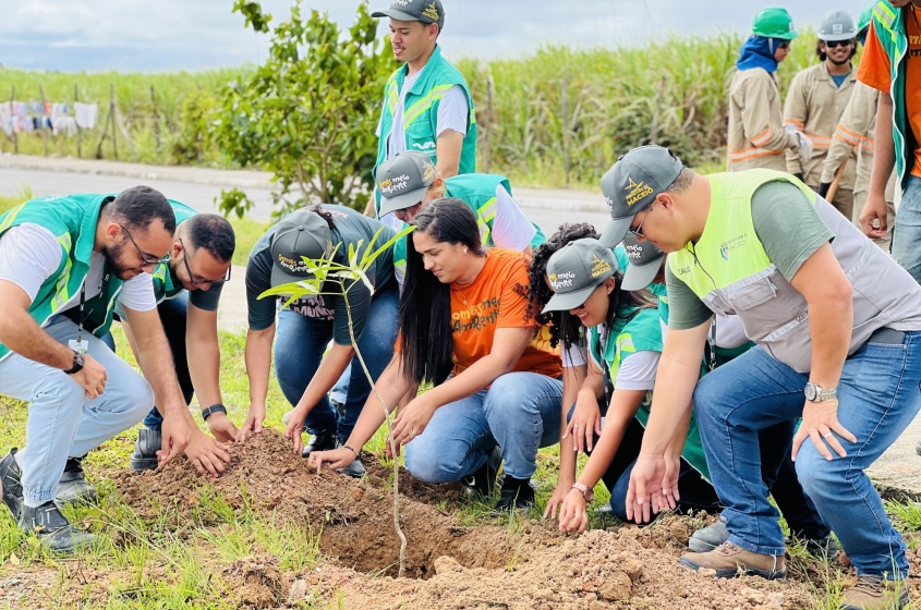 A Alurb também prioriza a escolha de locais que são pontos crônicos de descarte de lixo para os plantios. Foto: Crystalia Tavares/Ascom Alurb