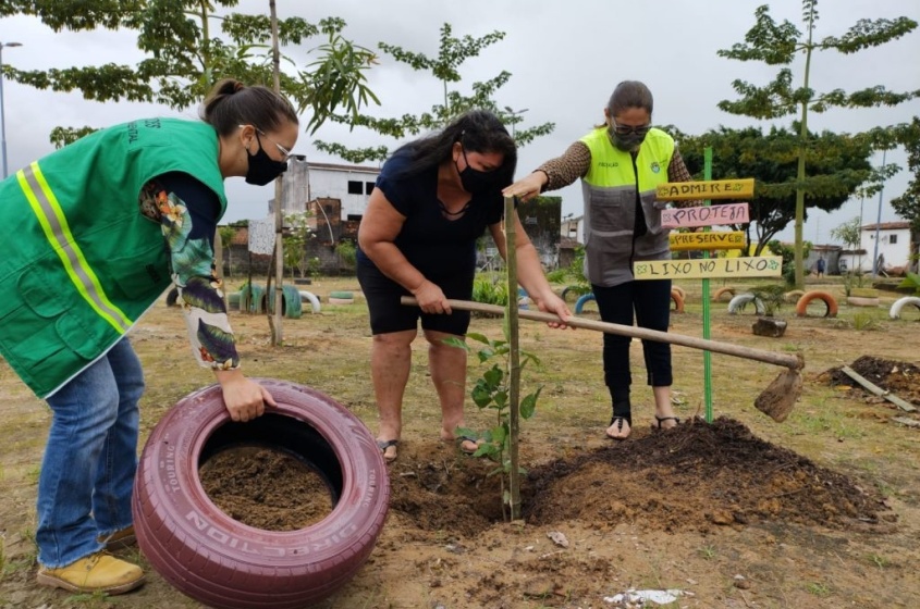 O número de árvores plantadas em 2022 já superou em 58% o total de exemplares semeados no ano passado. Foto: Ascom Sudes