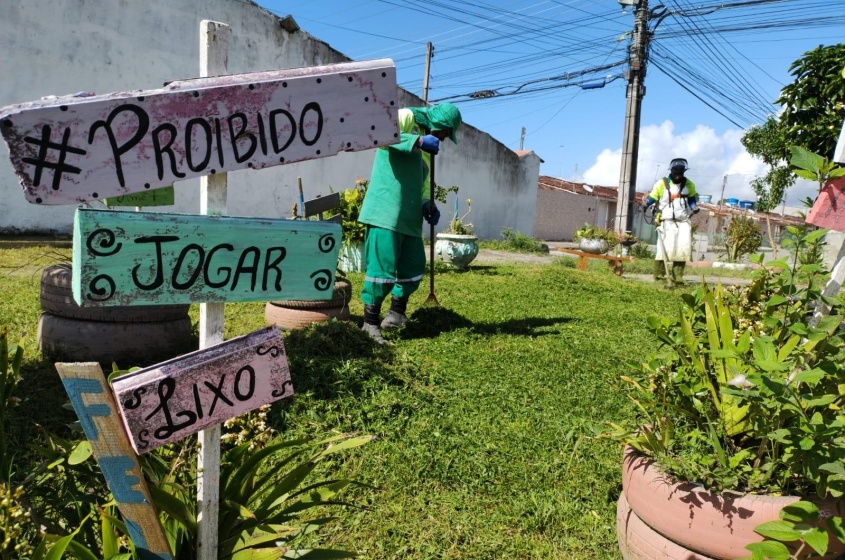 Em Maceió, a preferência é por plantas nativas, de forma que a chance de sucesso aumenta e o impacto ambiental. Foto: Ascom Sudes