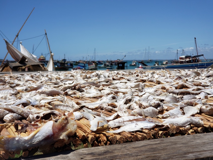 Processo de secagem do peixe no Centro Pesqueiro de Maceió (Foto: Ascom Semtabes)