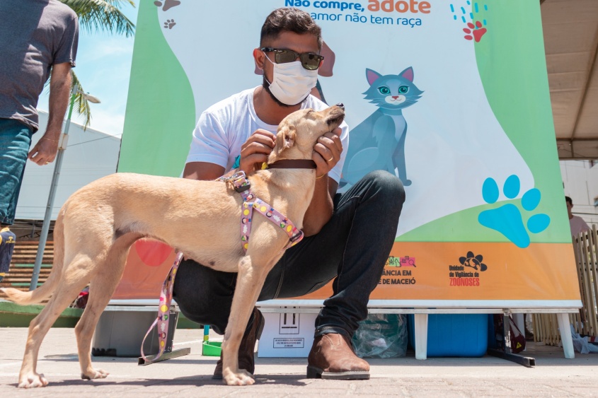 Essa é a primeira vez que o Município adota políticas públicas voltadas para os animais. Foto: Victor Vercant/SMS