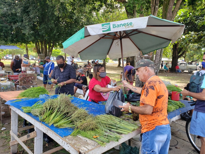 Feira do troca acontece sábados e domingos. Foto: Ascom Semtabes