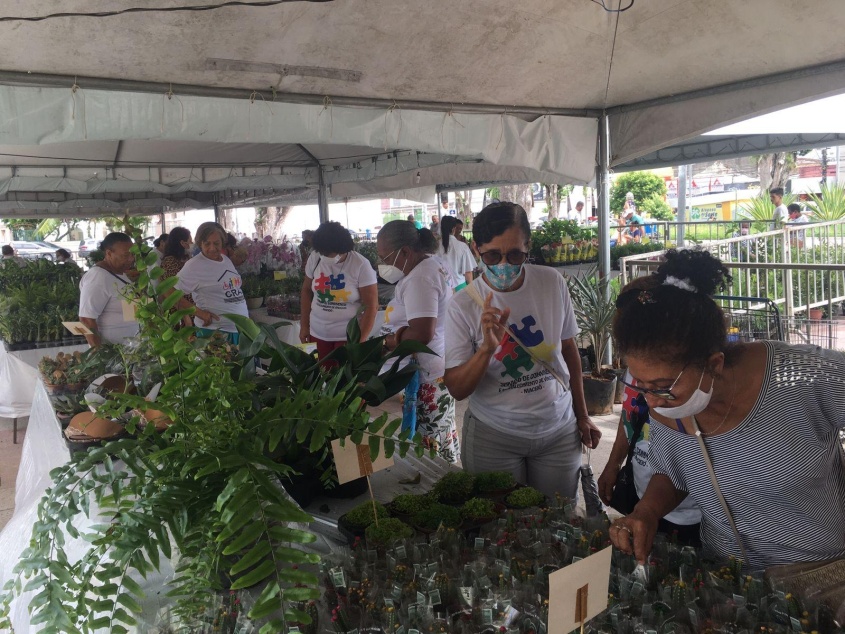 Grupo de idosos participou do Festival das Flores de Holambra, na Praça Deodoro, no Centro de Maceió. Foto: Cras Cacilda Sampaio