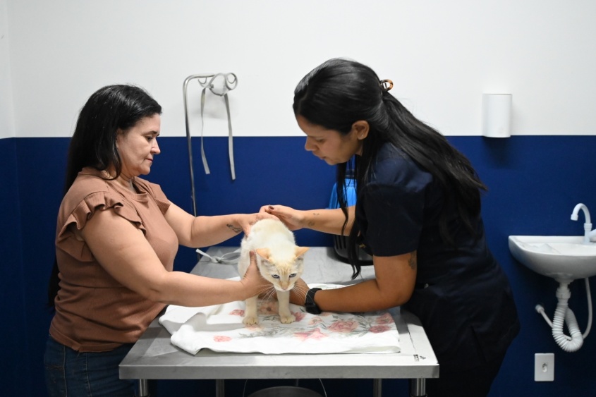 Fazendo especialização em Medicina Felina, Nathalia conta que desde a infância conviveu com muitos animais em casa. Foto: Roger Silva/Ascom Sebema
