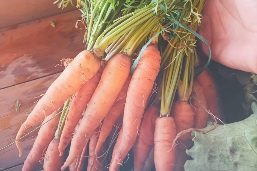 Produtos naturais, veganos e artesanais serão comercializados durante a feira. Foto: Divulgação