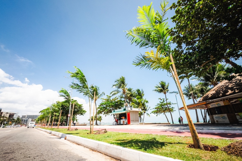 Projeto de paisagismo impacta minimamente na visualização da costa marítima da cidade. Foto: Jonathan Lins/Secom Maceió