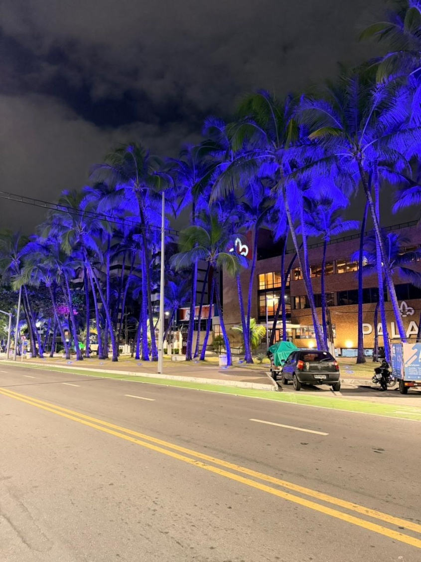 Os coqueiros do canteiro da orla de Ponta Verde também receberam a iluminação especial. Foto: Neto Melo/Ascom Ilumina