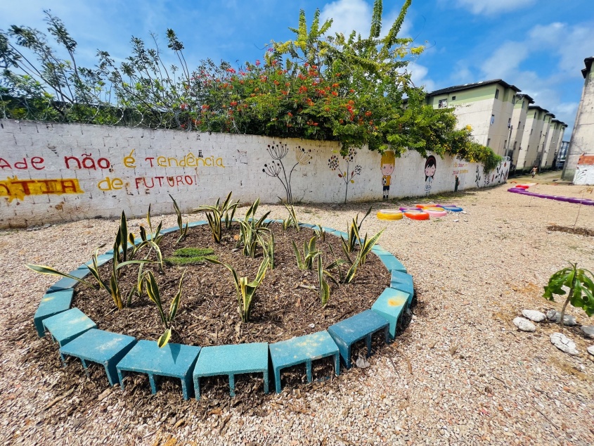 Compostagem é utilizada pela Alurb no plantio de mudas. Foto: Ascom Alurb