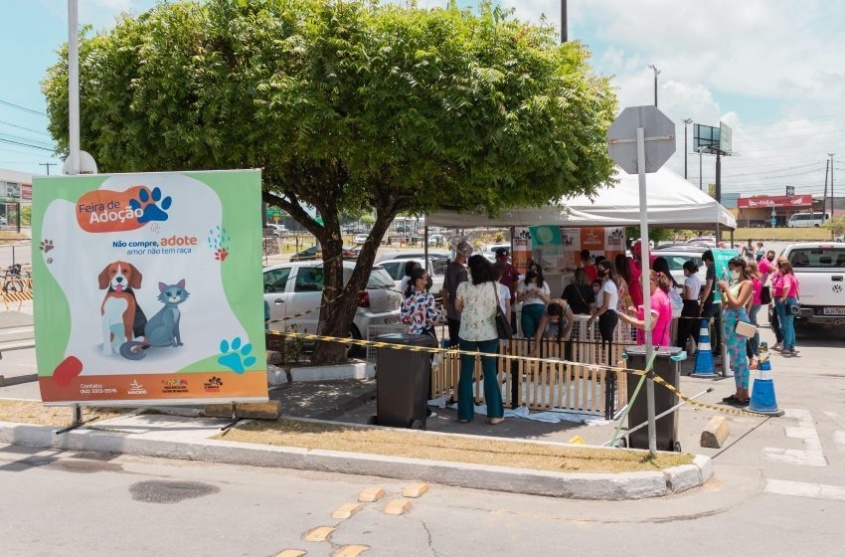 Primeira edição da Feira de Adoção de 2022 aconteceu no Shopping Pátio Maceió. Foto: Arquivo/Victor Vercant Ascom SMS
