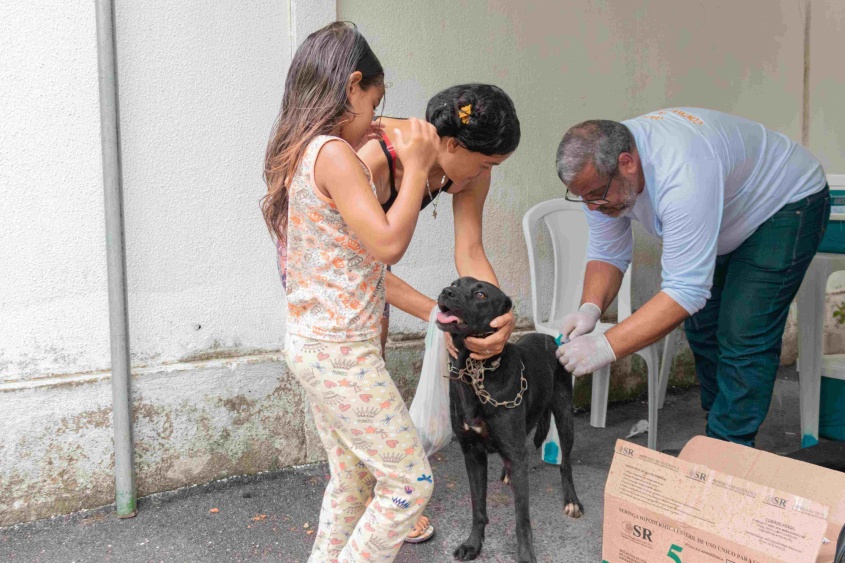 Foram aplicadas 68 doses de vacina antirrábica pela equipe da UVZ. Foto: Victor Vercant/Ascom SMS