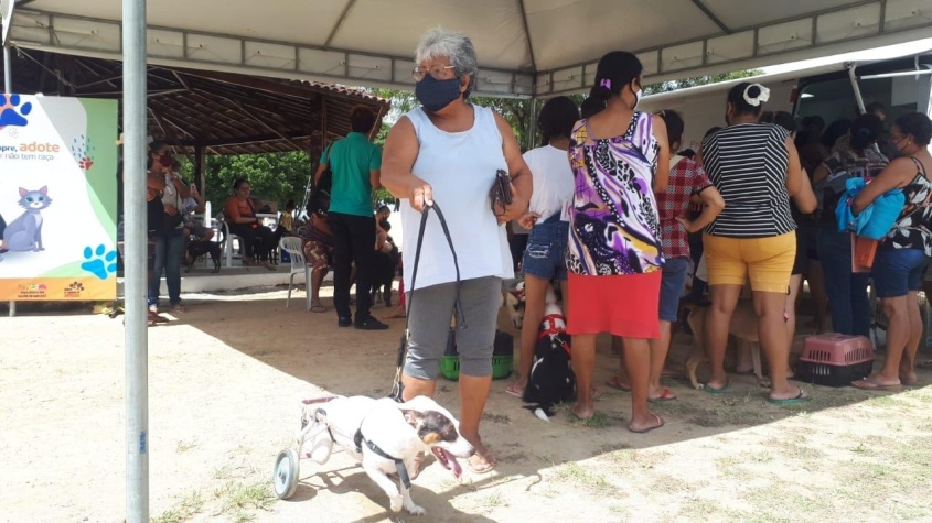 A aposentada Lenildes Tobias também aprovou a iniciativa da Prefeitura de Maceió e trouxe três animais para fazer consultas e serem vacinados. Foto: Ascom/SMS