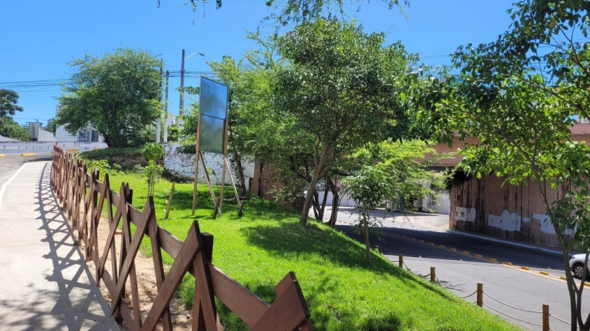 O órgão realizou o plantio de 15 mudas de árvores nativas, variando entre ipês roxos e rosas. Foto: Ascom Sudes