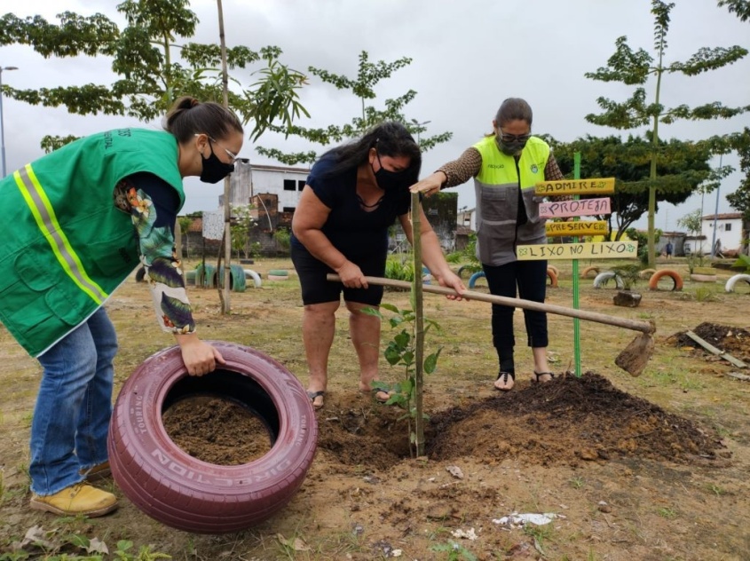 Plantio de árvores merece uma avaliação cuidadosa. Foto: Alexandre Vieira / Ascom Sudes