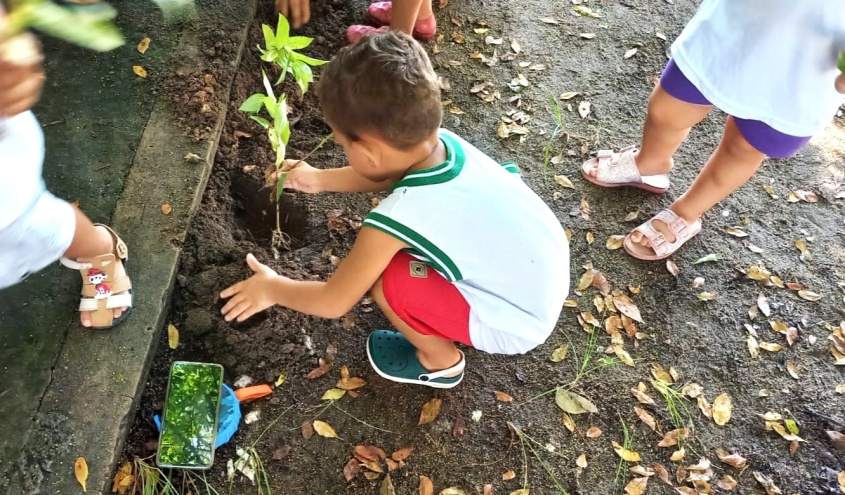 Ervas medicinais são plantadas em horta pelas crianças na creche Francisco Mello, no Trapiche da Barra. Foto: Cortesia