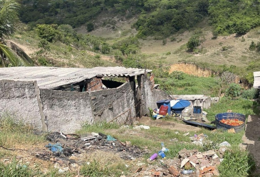 Criação de suínos na zona urbana da capital é proibida por lei. Foto: Cortesia IMA