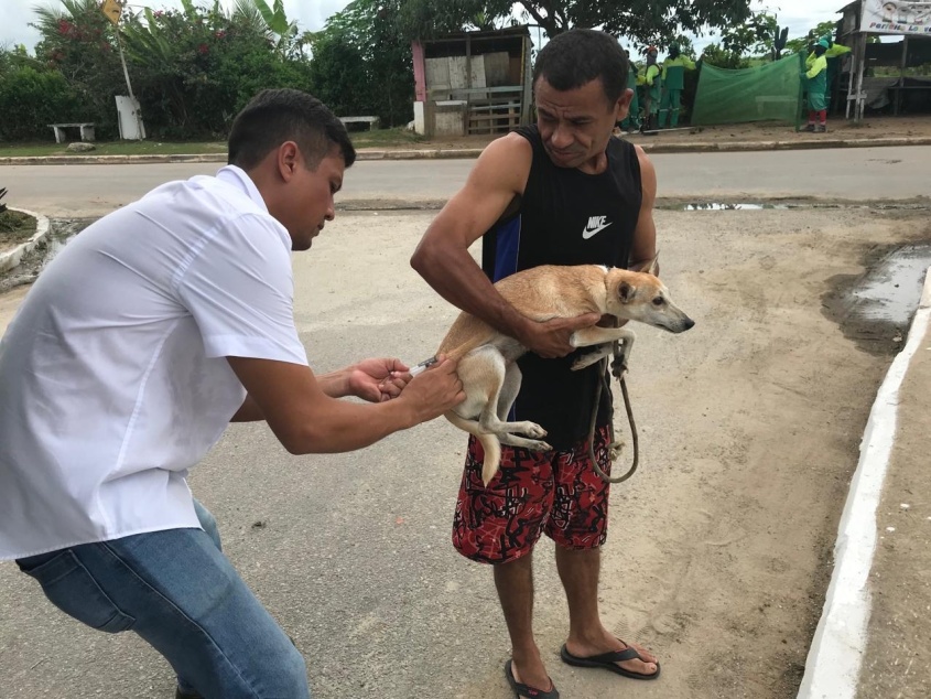 Cão recebendo vacina antirrábica. Foto: Ascom Segov