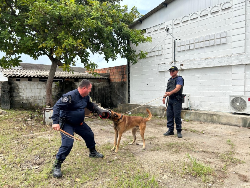 A Secretaria Municipal de Segurança Cidadã tem trabalhado para implantar o canil na capital alagoana. Foto: Ascom Semsc