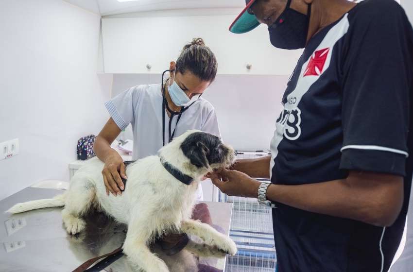 Diretora da Secretaria de Bem Estar Animal tem pesquisa premiada em evento internacional