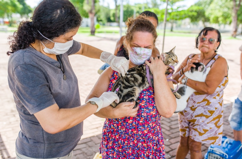 Unidade de Zoonoses promove vacinação antirrábica e feira de adoção no sábado (21)