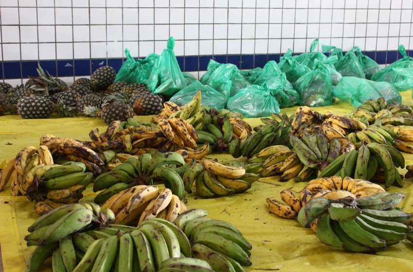 Educação entrega mais uma remessa de kits da agricultura familiar aos alunos da rede municipal